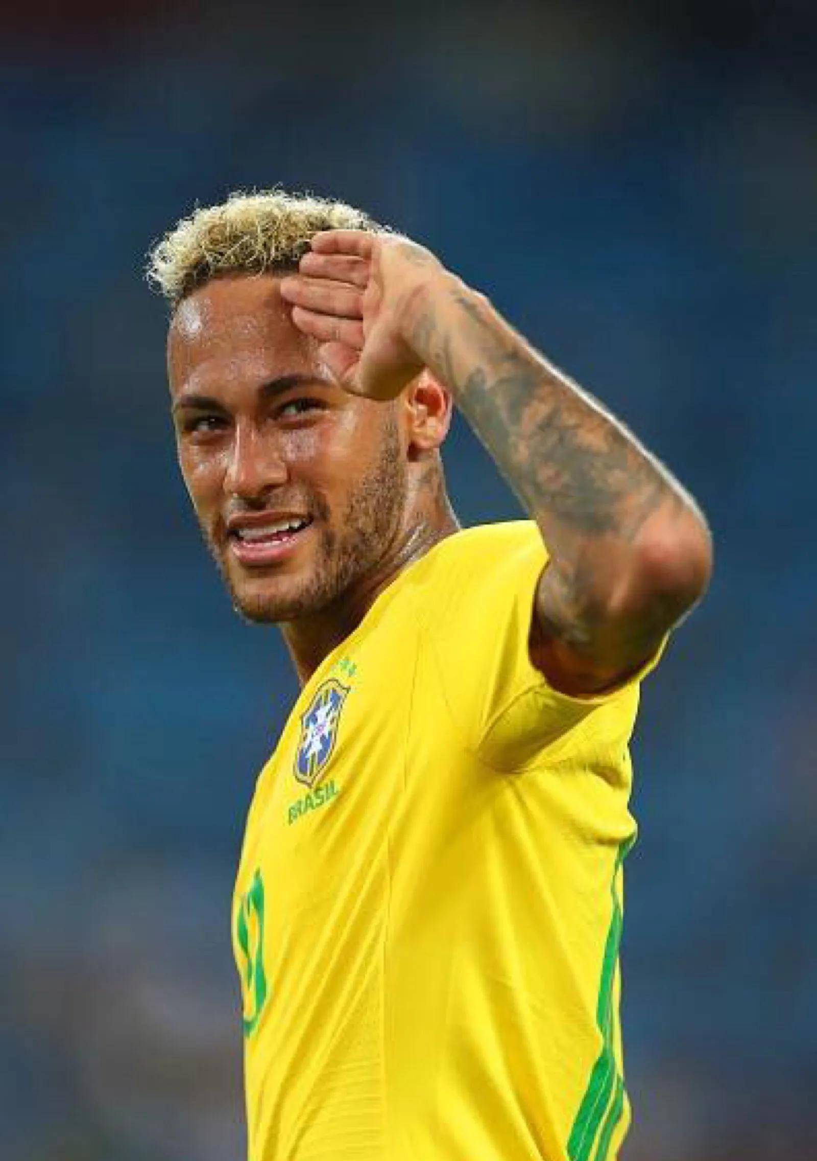 得了无数球 得了无数球