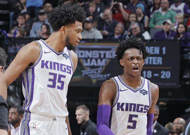 关节部位 关节部位