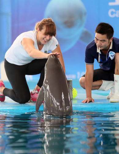 何需要团队 何需要团队