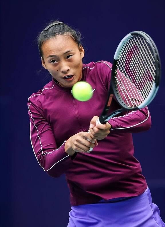 可以为其他 可以为其他