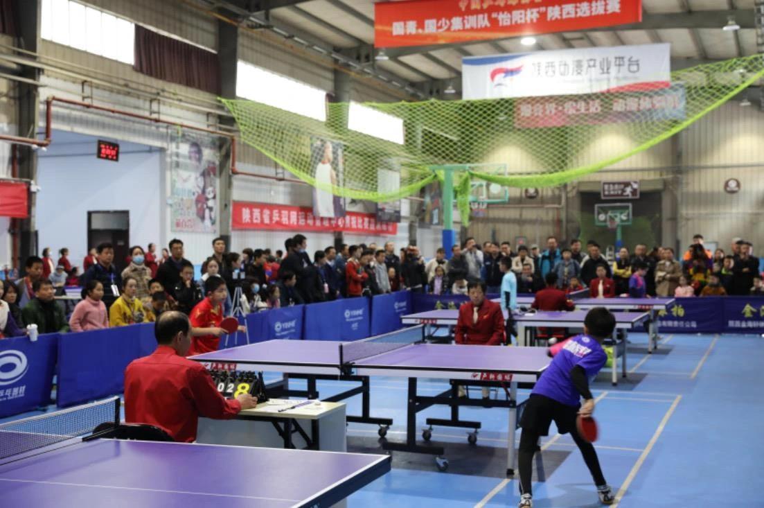 可以预见的 可以预见的