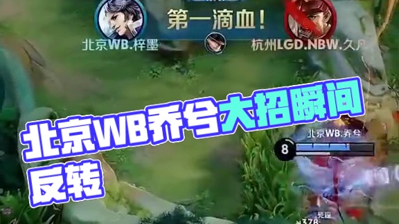 功能型选手